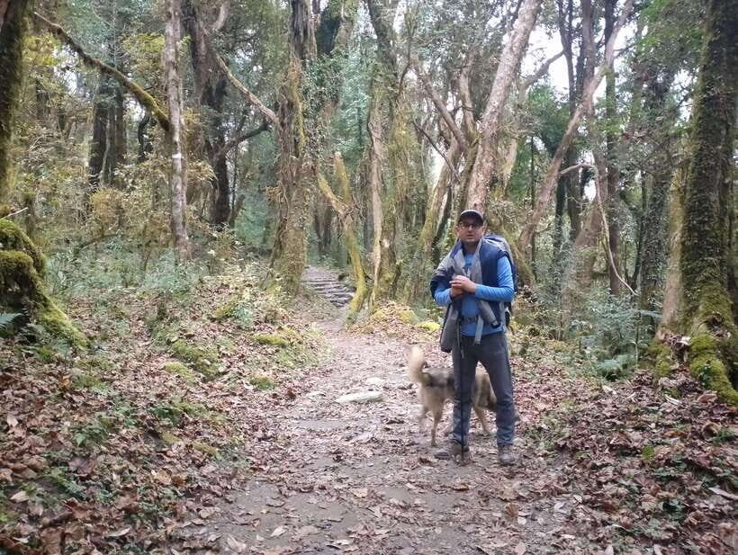 4-Day Mulde ,Poon Hill Trek Itinerary (Children-Friendly) - An Honest Look at the 4-Day Mulde, Poon Hill Trek