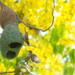 4-Day NabjiKorphu Wildlife Forest Eco Tour - Exploring Day 1: From Trongsa to Nabji Village