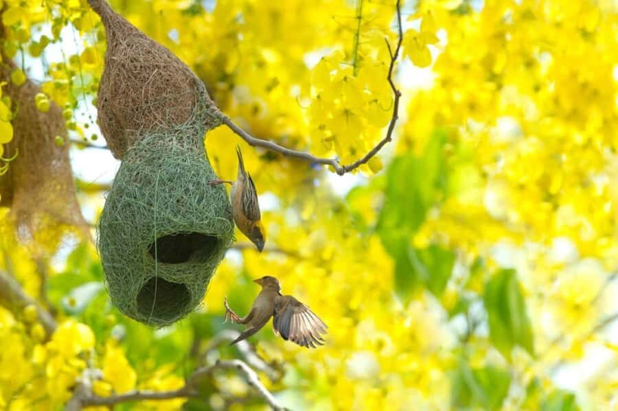 4-Day NabjiKorphu Wildlife Forest Eco Tour - Exploring Day 1: From Trongsa to Nabji Village