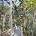 4-Day Private Coastal Escape from Sydney to Mid North Coast - The Itinerary Breakdown: How Each Day Builds the Experience