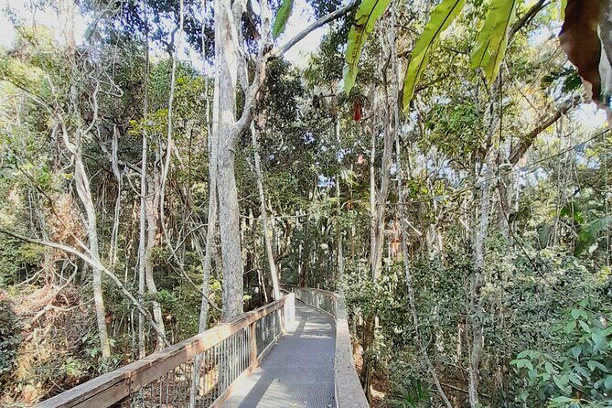 4-Day Private Coastal Escape from Sydney to Mid North Coast - The Itinerary Breakdown: How Each Day Builds the Experience