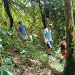 4 Days / 3 Nights Jungle & Waterfall Trek in North Bali - Practical Details & What to Know Before Booking