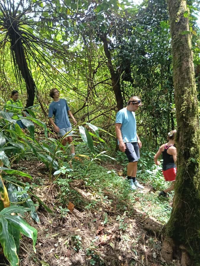 4 Days / 3 Nights Jungle & Waterfall Trek in North Bali - Frequently Asked Questions