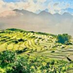 4 Days Hanoi to Pu Luong and Ninh Binh Culture Nature Adventure - The Details That Matter