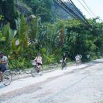 4 Days Ninh Binh Ha Long Sapa Tour Northern Vietnam Adventure - Day 4: Final Trek and Return to Hanoi