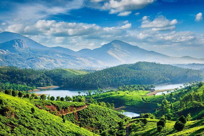 4 Days Private Kerala Tour -Kochi, Munnar, Thekkady with 3* Hotel - The Itinerary Breakdown: What You Can Expect