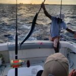 4 hour Fishing or Snorkeling - Detailed Breakdown of the Itinerary