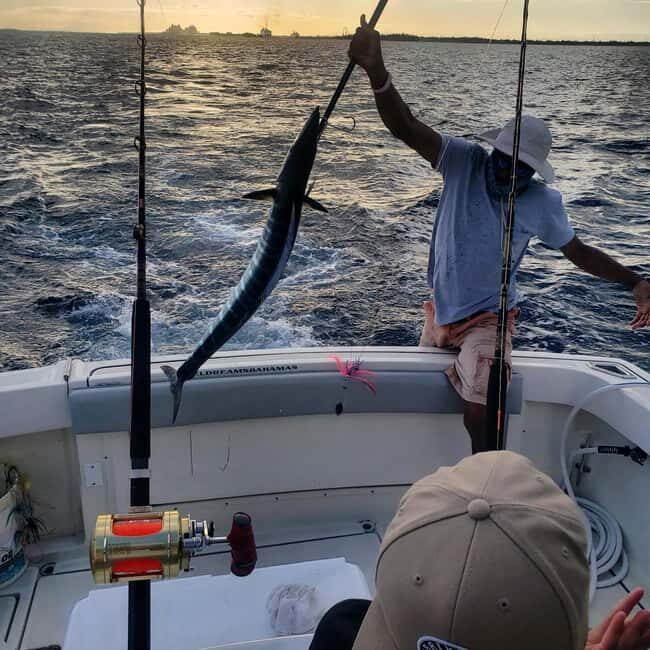 4 hour Fishing or Snorkeling - Detailed Breakdown of the Itinerary