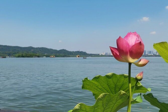 4-Hour Hangzhou Highlights Tour of Jingci Temple and West Lake - Who Would Love This Tour?