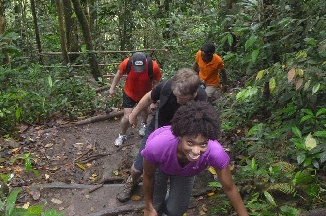 4-Hour Hiking to Gros Piton St Lucia with Tour Guide - The Sum Up: Is It Worth It?
