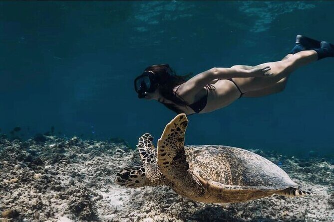 4-in-1 Nusa Lembongan Snorkel and Sunset Half Day Dinner Cruise - Practicalities and What the Experience Means for You