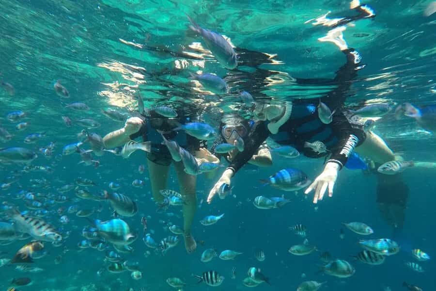 4 Spot Nusa Penida Snorkeling Manta Rays Reefs & 2 Hours Spa - The Experience Value: Is It Worth It?