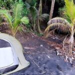 48h of Wild Adventure: Rando, Bivouac and Unforgettable Moments - Practical Considerations