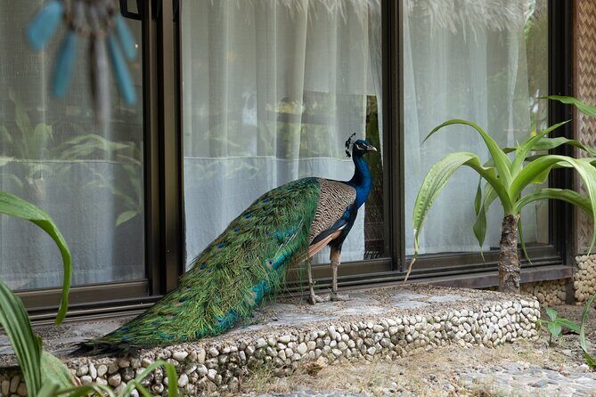 4D3N Luxury Resort & Island Hopping with Seaplane Transfer - Breaking Down the Itinerary