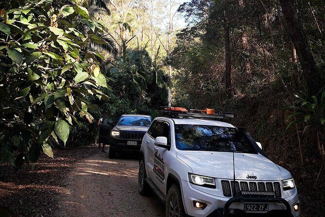 4WD Guided Day Trip In D'Aguilar National Park - Final Thoughts: Who Is This For?