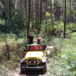 4WD Jeep Mount Batur Sunrise Experience By Bali Volcano Jeep - Authentic Experiences and Reviewer Insights