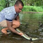 4x4 Moorea Safari Tours : Private tours - The Sum Up