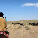 5-Day Horse Riding Tour in the Nuratau Mountains - Who Will Love This Tour?