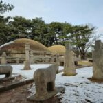 5-Day Trip Seoul and Vicinity Mountain Hiking Challenges - What Makes This Tour Stand Out?