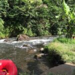 5 Day Wildlife Safari Tour in Sri Lanka - What Makes This Tour Stand Out?