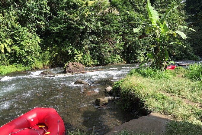 5 Day Wildlife Safari Tour in Sri Lanka - What Makes This Tour Stand Out?