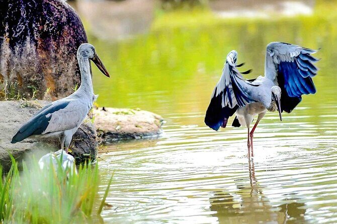 5 Days Private Bangladesh Tour Tea & Rainforest - Who Is This Tour For?