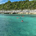 5 Hours Pigs and Turtles with Beach Stop in Bahamas - Pricing and Value