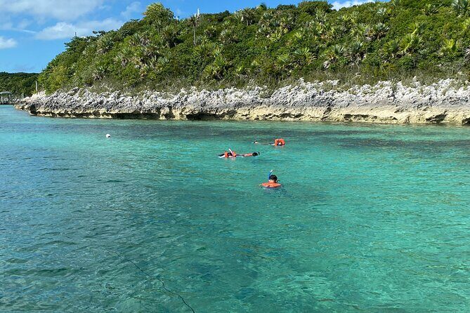 5 Hours Pigs and Turtles with Beach Stop in Bahamas - Pricing and Value