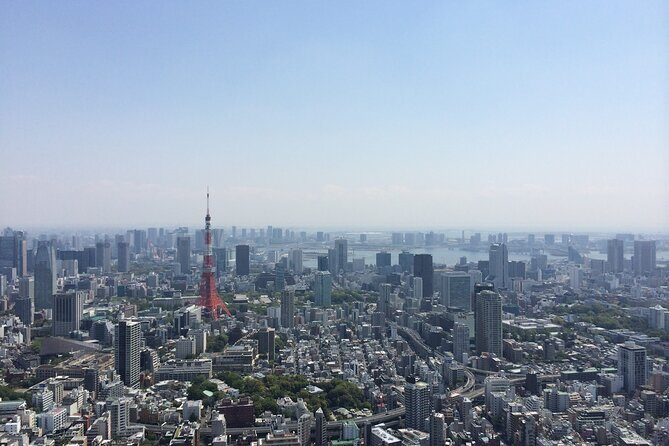 5G Japan eSIM - Up to 50GB or Unlimited Data; Zero Roaming Fees - What Does the eSIM Offer?