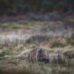 6 Day Island Icons Tassie Day Tour Bundle - Practical Considerations