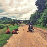 6-Day Nha Trang to Ho Chi Minh Motorbike Adventure - Easy Rider - Detailed Breakdown of the Itinerary