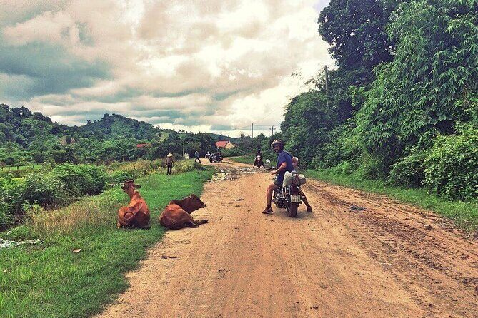 6-Day Nha Trang to Ho Chi Minh Motorbike Adventure - Easy Rider - Detailed Breakdown of the Itinerary