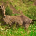 6 days active Kerala private tour by Green Earth Trails - What Makes This Tour Stand Out?