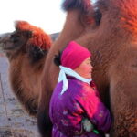 6 Days Color of Gobi Desert - Value and Cost Breakdown