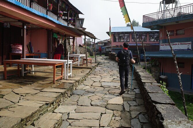 6 Days Mardi Himal Trek from Kathmandu - Practical Details and Value