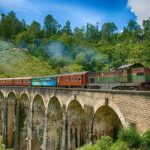 6 Days Tour of Sri Lanka - Why This Tour Works