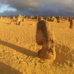 6 Hours Pinnacles Express Tour - Transportation and Group Size