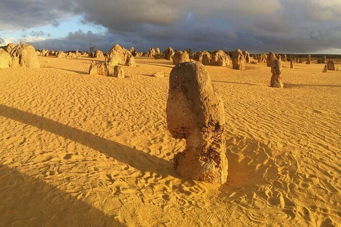 6 Hours Pinnacles Express Tour - Transportation and Group Size