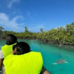 6-Passenger Motorized Clear Kayak Mangrove Tour in Providenciales - The Itinerary Breakdown