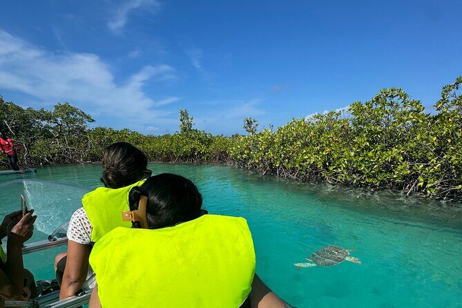 6-Passenger Motorized Clear Kayak Mangrove Tour in Providenciales - The Itinerary Breakdown