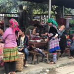 7-Day Northern Vietnam Discovery: Sapa, Ninh Binh & Halong Bay - What Travelers Need to Know: Practical Insights