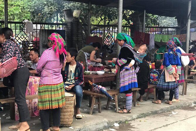 7-Day Northern Vietnam Discovery: Sapa, Ninh Binh & Halong Bay - What Travelers Need to Know: Practical Insights