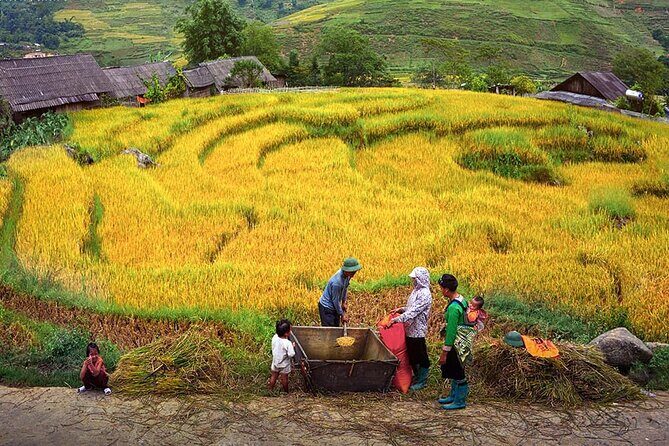 7-Day Northern Vietnam Discovery: Sapa, Ninh Binh & Halong Bay - Who Will Love This Tour?