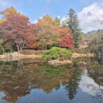 7-Day Tour of Korea's Rapid Growth and Culture - Practical Aspects and Value