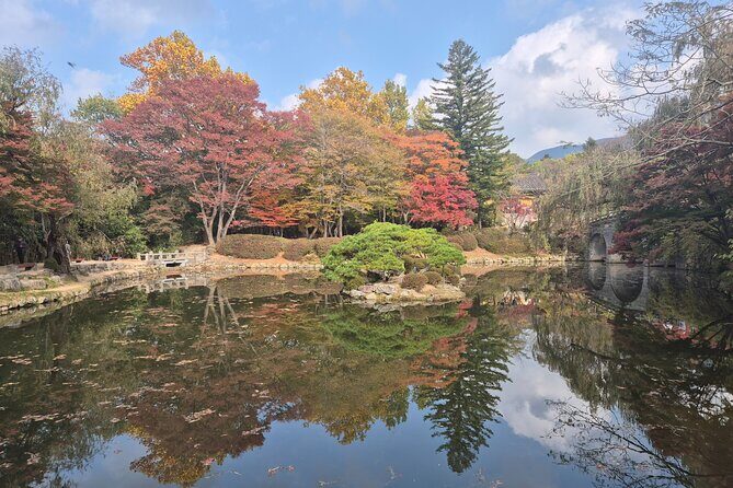 7-Day Tour of Korea's Rapid Growth and Culture - Practical Aspects and Value