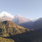 7-Day Trek to Annapurna Base Camp from Pokhara - Transportation, Accommodation, and Guides