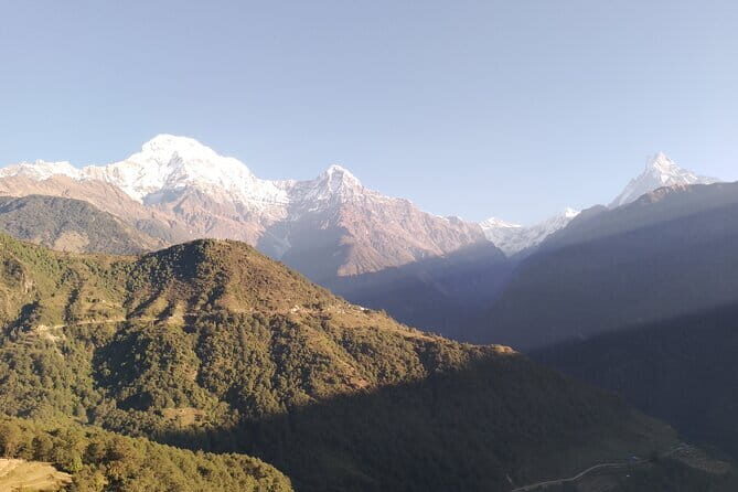 7-Day Trek to Annapurna Base Camp from Pokhara - Transportation, Accommodation, and Guides