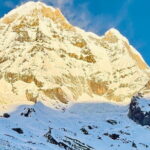 7 Days ABC Trek with Chitwan Safari Tour - The Value of This Tour