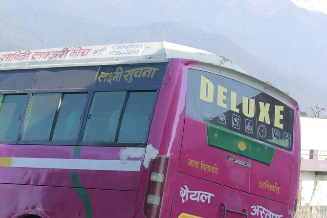 7 Days Tour on Poon Hill Trek and Chitwan Jungle Safari - Transportation and Logistics: What You Need to Know