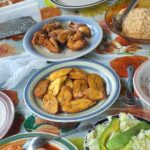 7 Hour- Private Nature Tour of the Monte Plata Rainforest - Final Thoughts